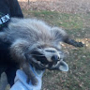 Meet your Posher, Athena